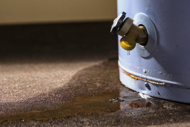 Best Carpet water damage restoration  in Fort Dick, CA
