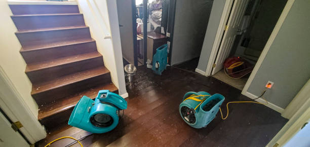 Best Mold removal after water damage  in Fort Dick, CA