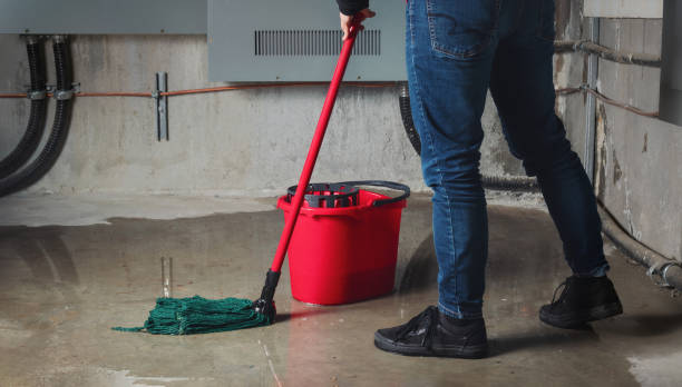 Best Mold removal after water damage  in Fort Dick, CA