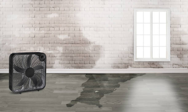 Best Flood damage cleanup  in Fort Dick, CA