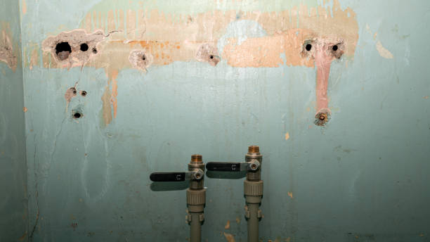 Best Flood restoration services  in Fort Dick, CA