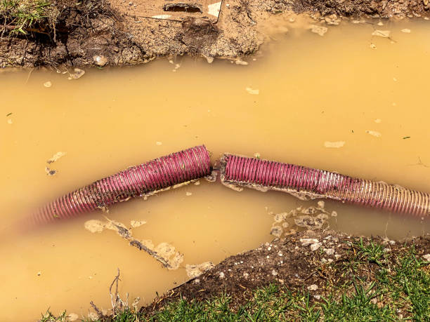 Best 24/7 water damage repair  in Fort Dick, CA
