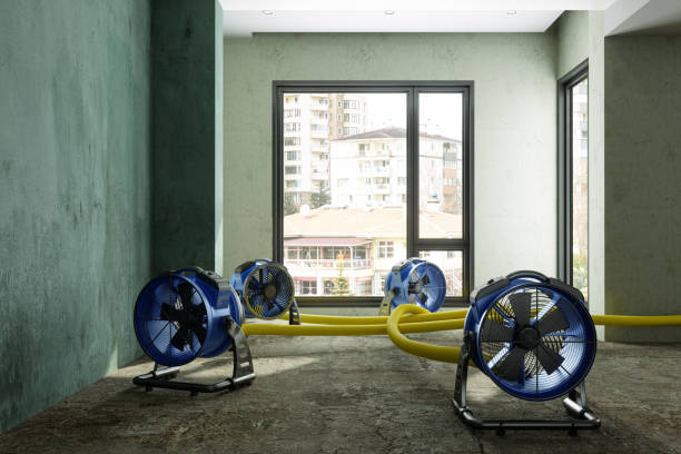 Best Residential water damage restoration  in Fort Dick, CA
