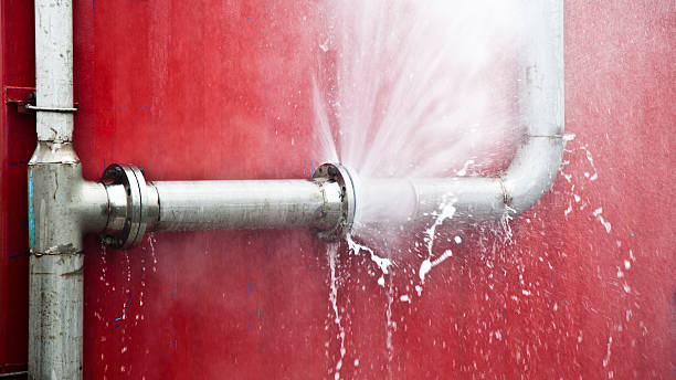 Best Professional water damage repair  in Fort Dick, CA